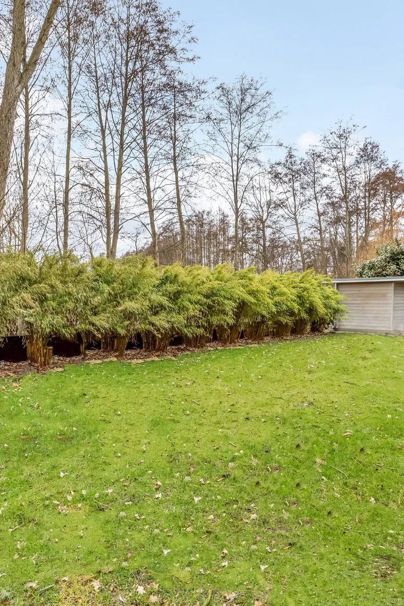 Gepflegter Garten mit Hecke und Rasen